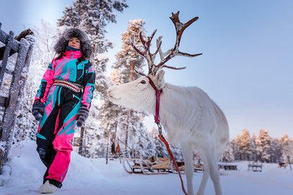 Finland Winter Northern Lights Experience
