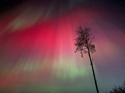Alaska Winter Northern Lights Experience
