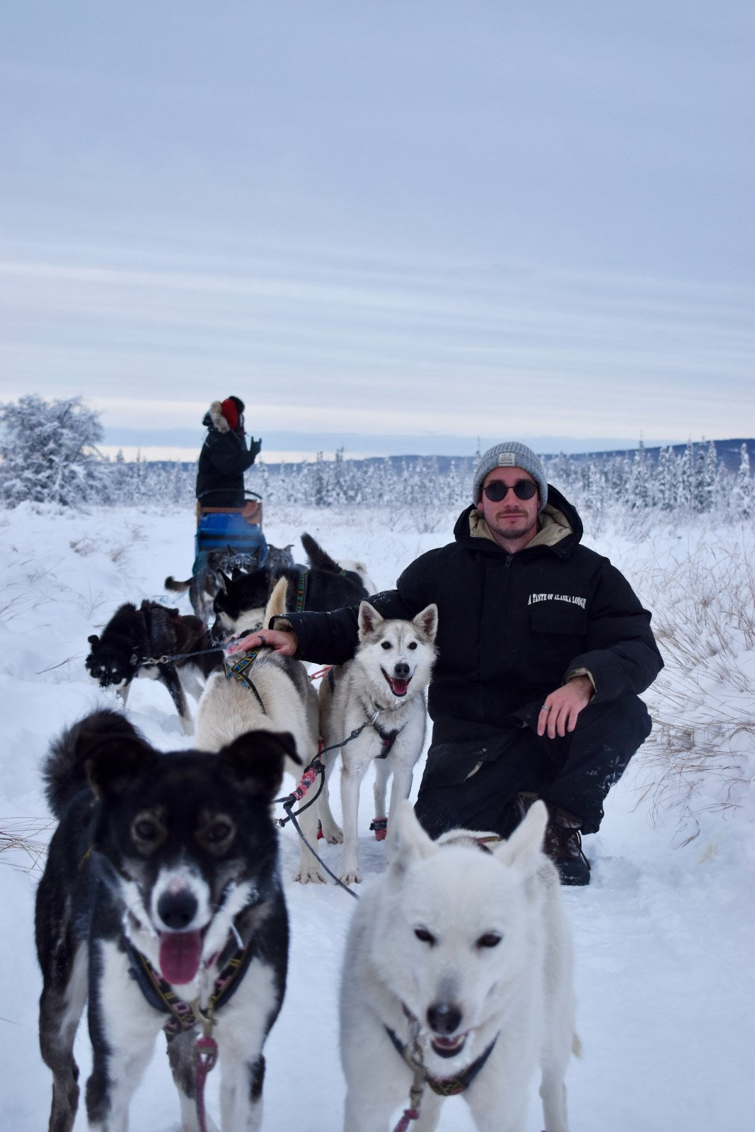 Person with dogsled team in a snowy landscape in Fairbanks Alaska 