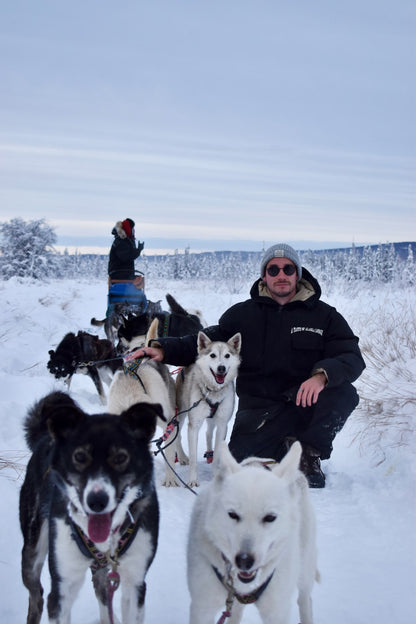 Person with dogsled team in a snowy landscape in Fairbanks Alaska 