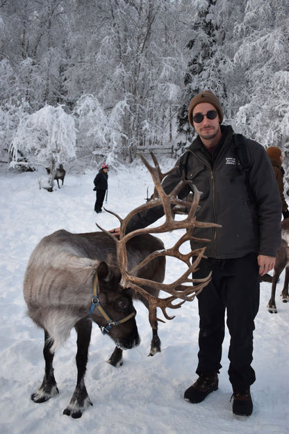 Person standing next to a reindeer on a snowy ground in Alaska 