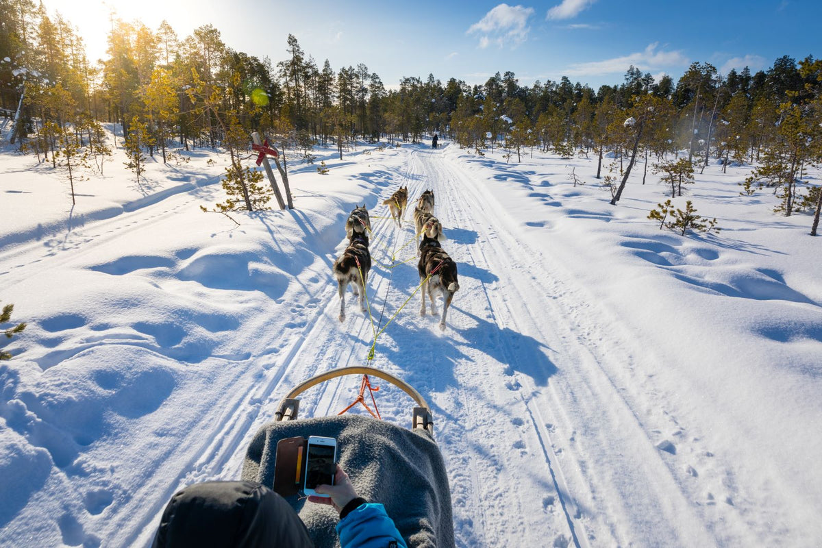 Finland Winter Northern Lights Experience