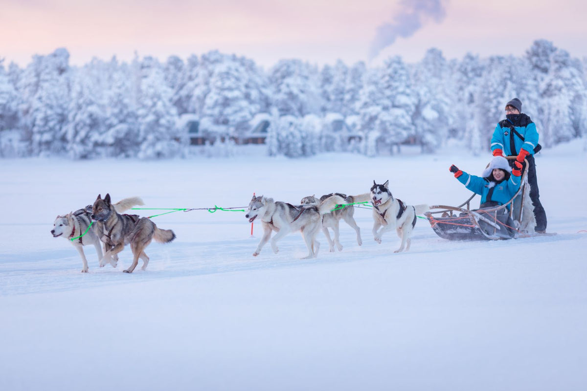 Finland Winter Northern Lights Experience