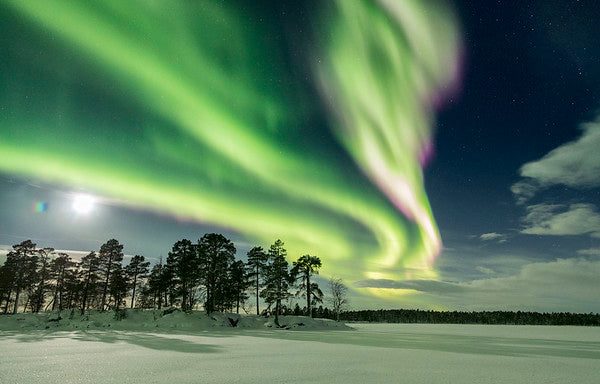 Finland Winter Northern Lights Experience