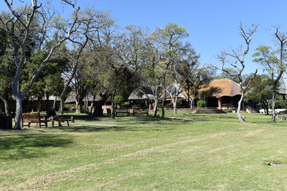 Zimbabwe African Safari, Wildlife Encounters, & Victoria Falls Experience