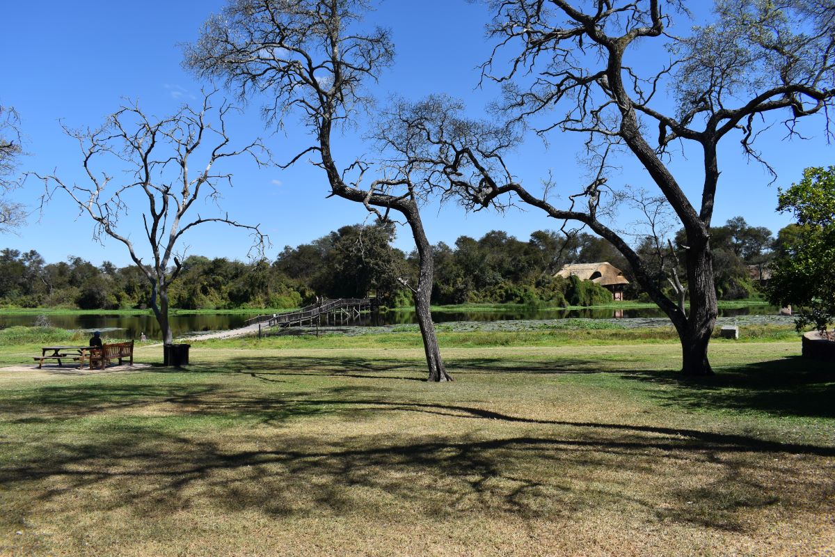 Zimbabwe African Safari, Wildlife Encounters, & Victoria Falls Experience