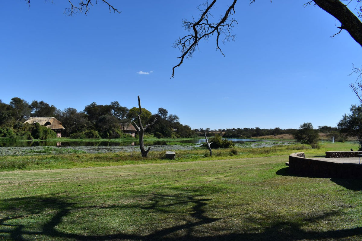 Zimbabwe African Safari, Wildlife Encounters, & Victoria Falls Experience