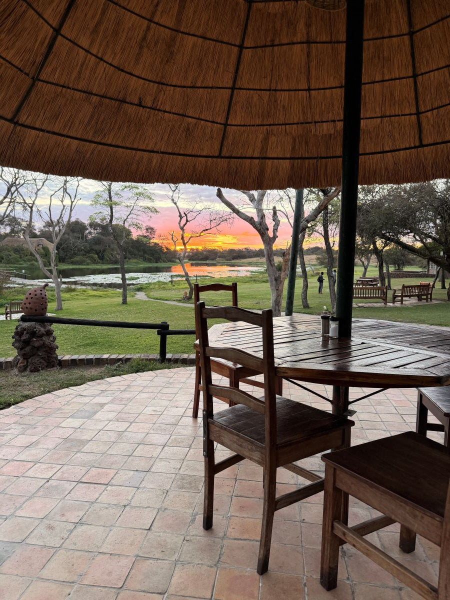 Zimbabwe African Safari, Wildlife Encounters, & Victoria Falls Experience