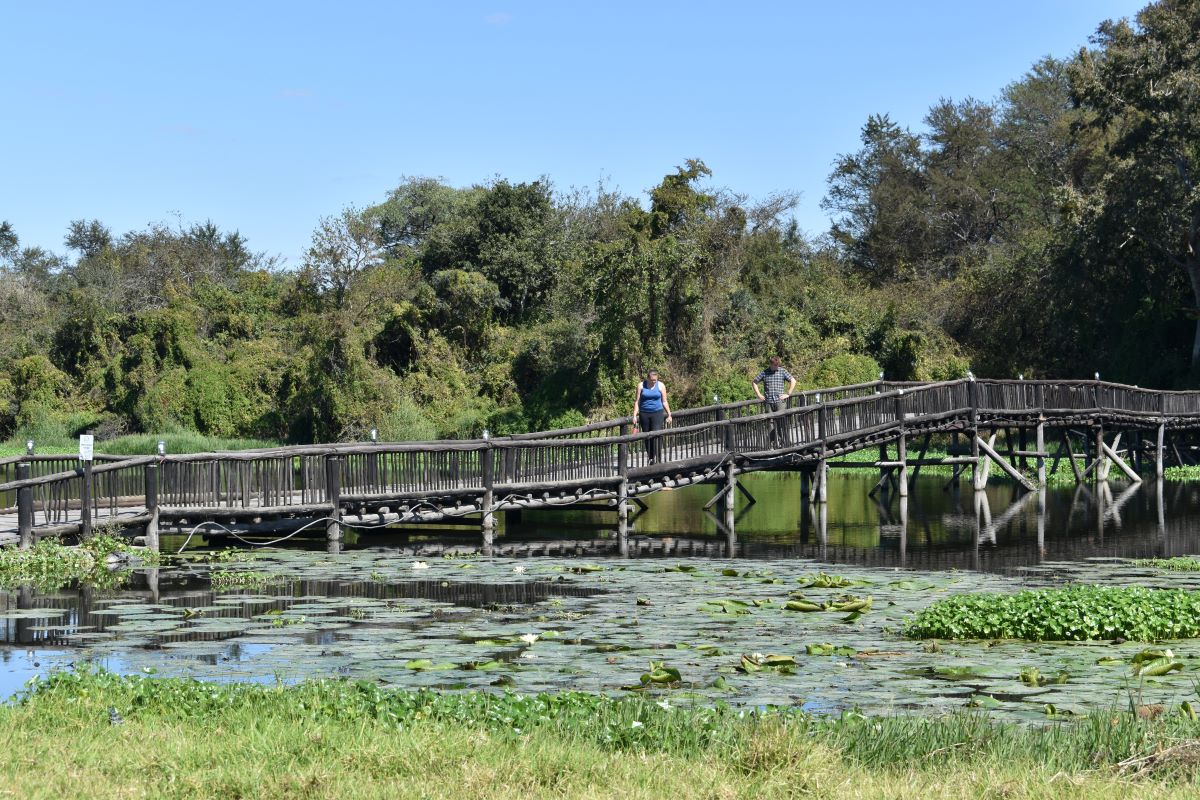 Zimbabwe African Safari, Wildlife Encounters, & Victoria Falls Experience