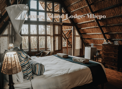 Zimbabwe African Safari, Wildlife Encounters, & Victoria Falls Experience