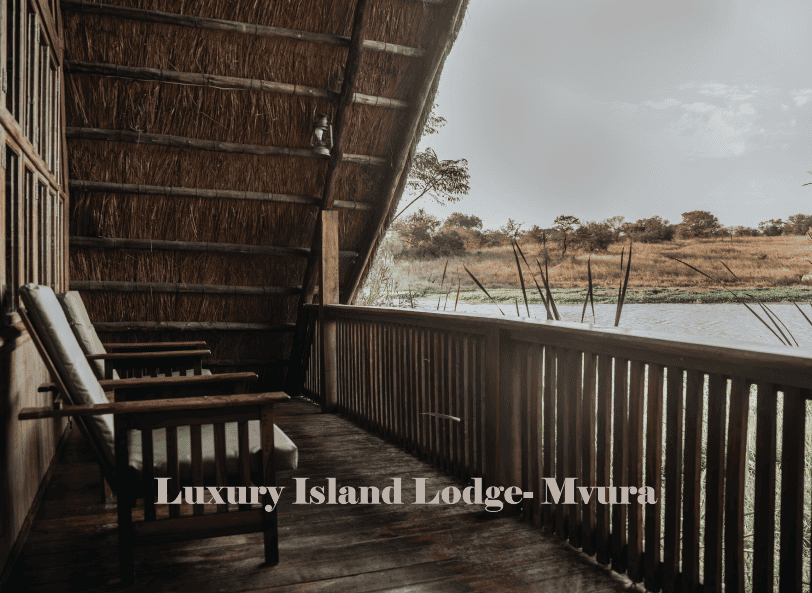 Zimbabwe African Safari, Wildlife Encounters, & Victoria Falls Experience