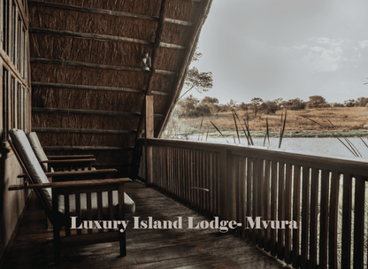 Zimbabwe African Safari, Wildlife Encounters, & Victoria Falls Experience