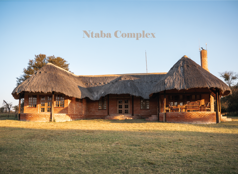 Zimbabwe African Safari, Wildlife Encounters, & Victoria Falls Experience
