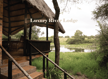 Zimbabwe African Safari, Wildlife Encounters, & Victoria Falls Experience
