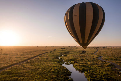 Hot air balloon over a grassy landscape with a sunset or sunrise over tanzania and animals on a safari