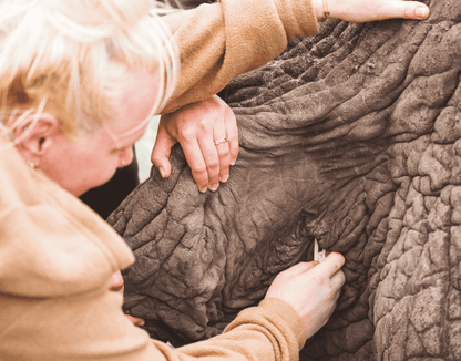 Zimbabwe African Safari, Wildlife Encounters, & Victoria Falls Experience