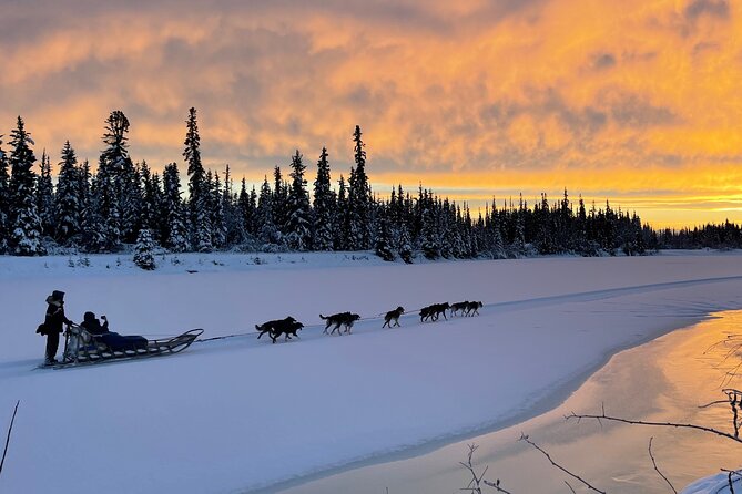 Dog sledding scene with a sunset over a snowy landscape in Alaska 
