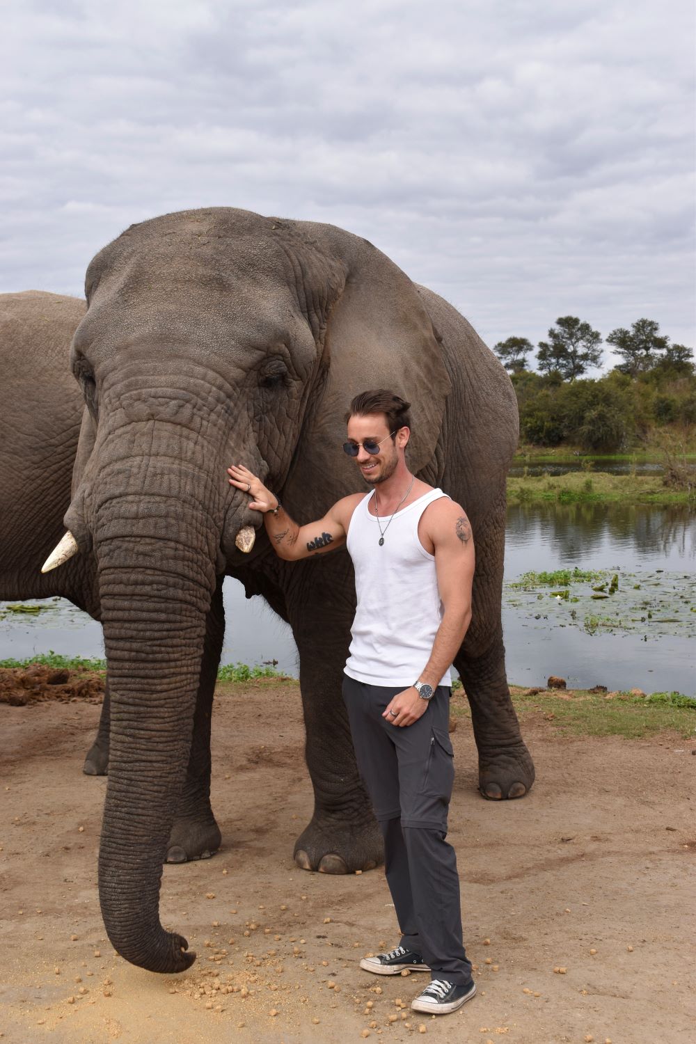Zimbabwe African Safari, Wildlife Encounters, & Victoria Falls Experience