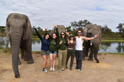 Zimbabwe African Safari, Wildlife Encounters, & Victoria Falls Experience