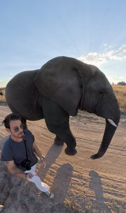Zimbabwe African Safari, Wildlife Encounters, & Victoria Falls Experience