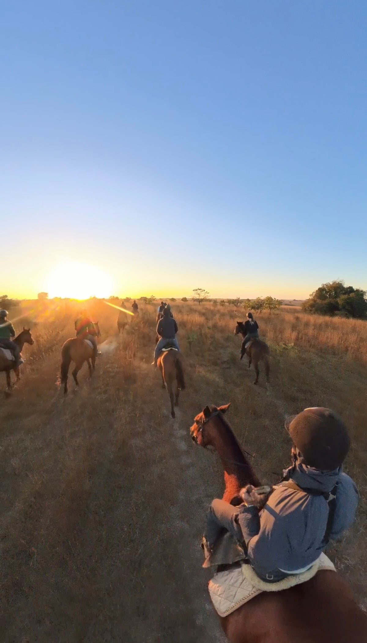 Zimbabwe African Safari, Wildlife Encounters, & Victoria Falls Experience
