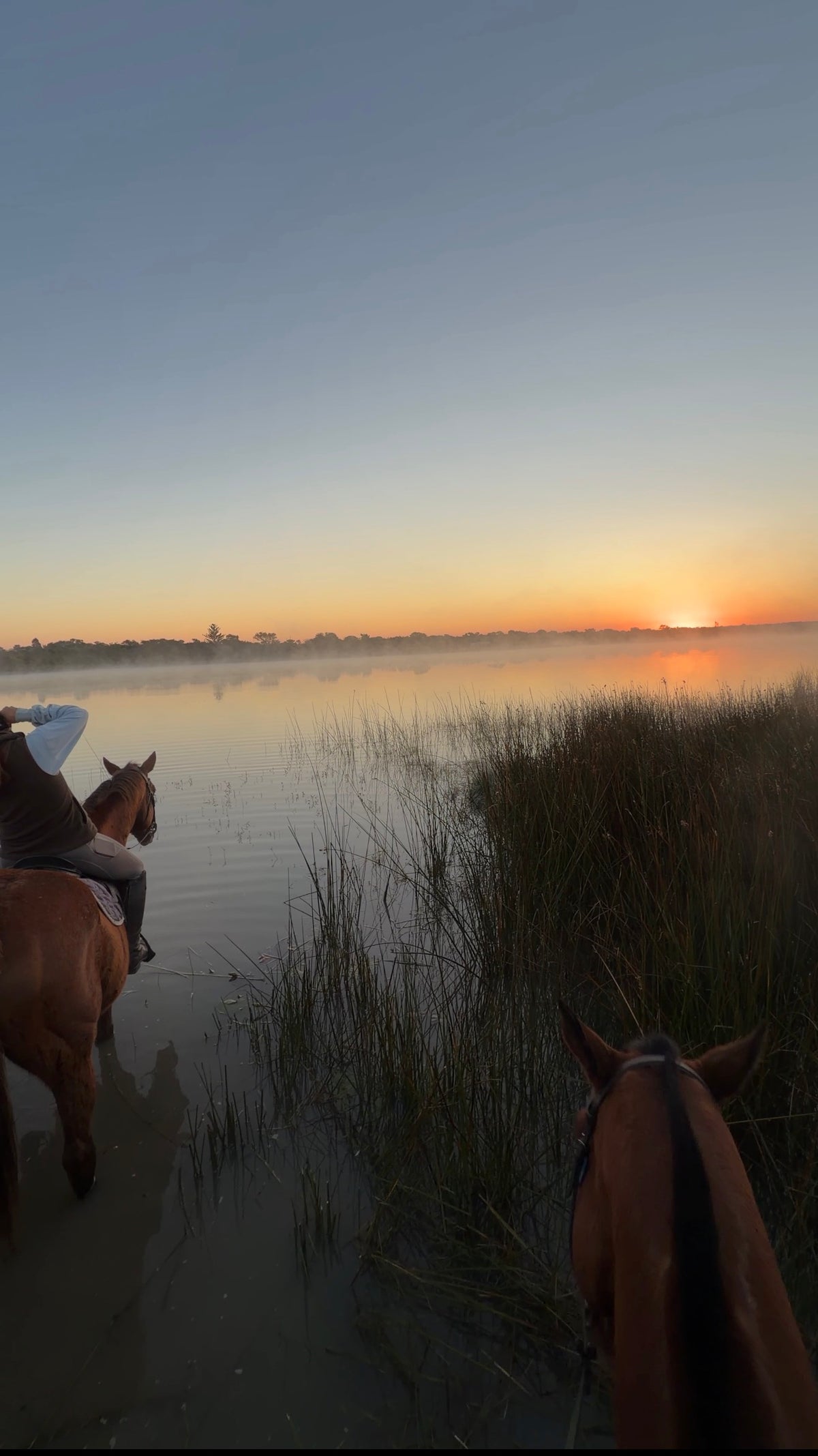 Zimbabwe African Safari, Wildlife Encounters, & Victoria Falls Experience