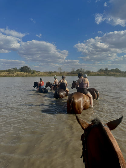 Zimbabwe African Safari, Wildlife Encounters, & Victoria Falls Experience