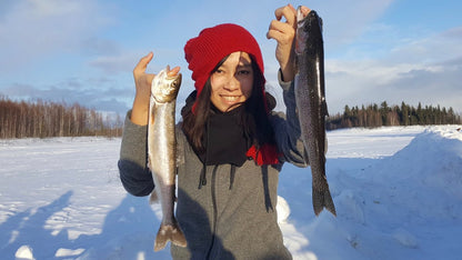 Alaska Winter Northern Lights Experience