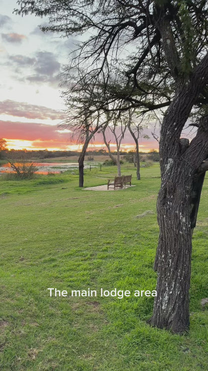 Zimbabwe African Safari, Wildlife Encounters, & Victoria Falls Experience