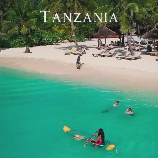 video of an african safari and zanzibar 