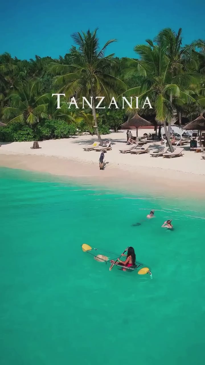 video of an african safari and zanzibar 