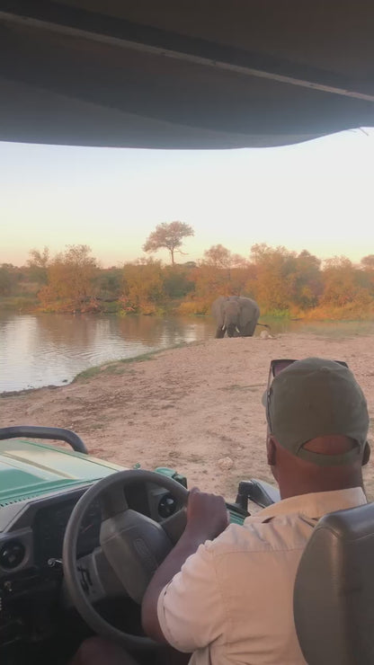 South African Safari- Booking Call