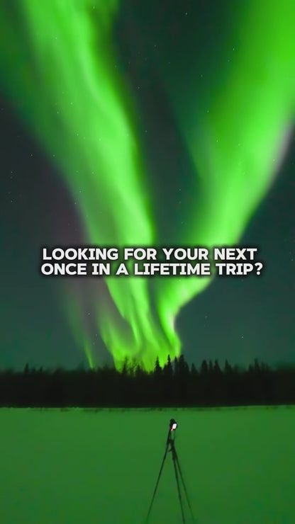 Alaska Winter Northern Lights Experience