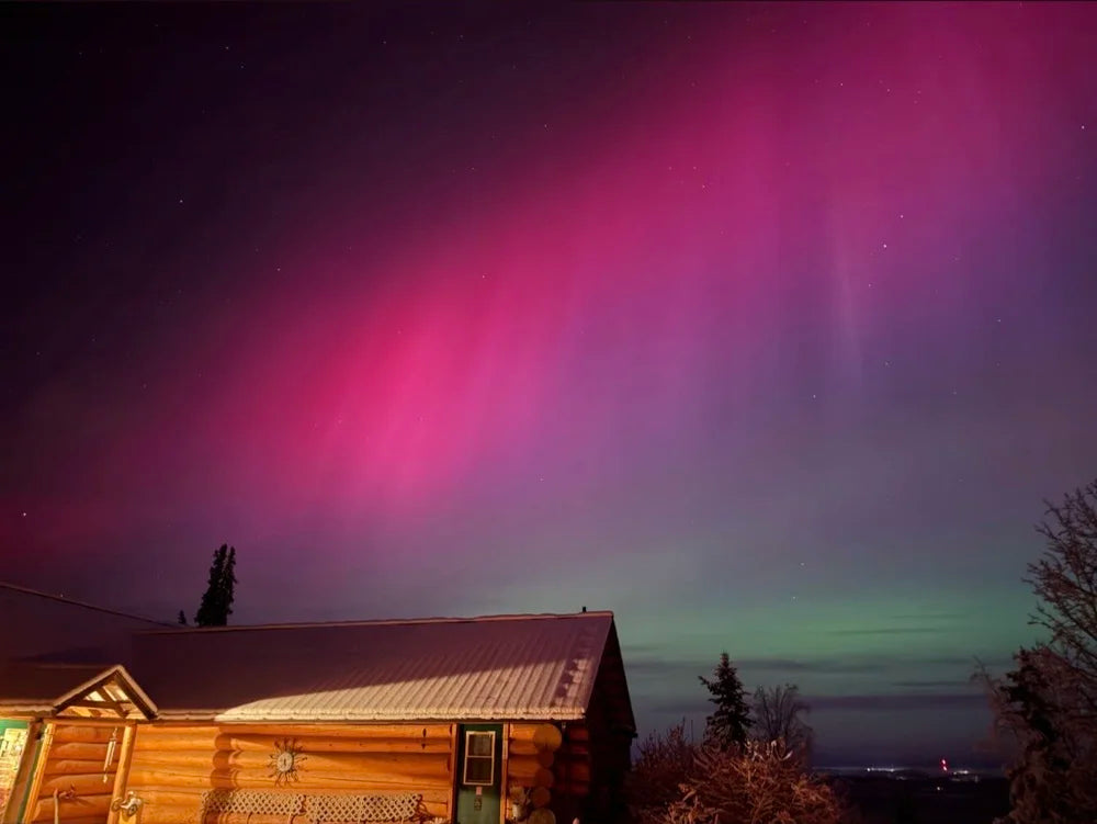 Pink and green Northern Lights above a snow-covered log cabin in Alaska